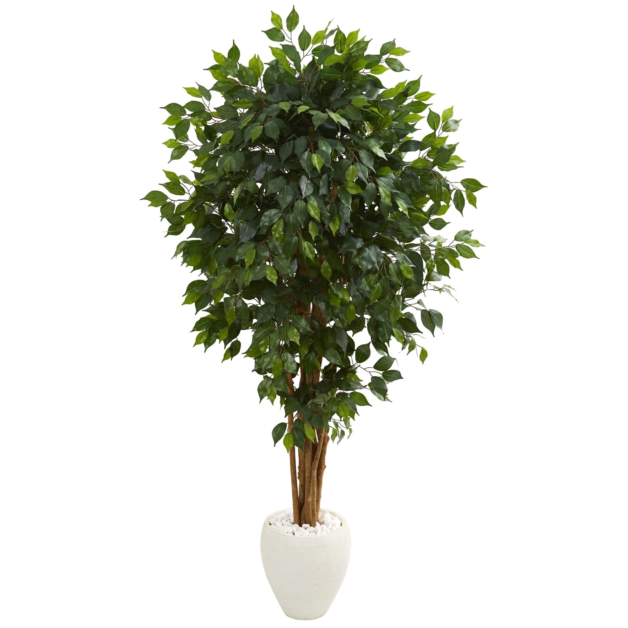 6 Ficus Artificial Tree In White Planter H 6 Ft. W 37 In. D 30 In