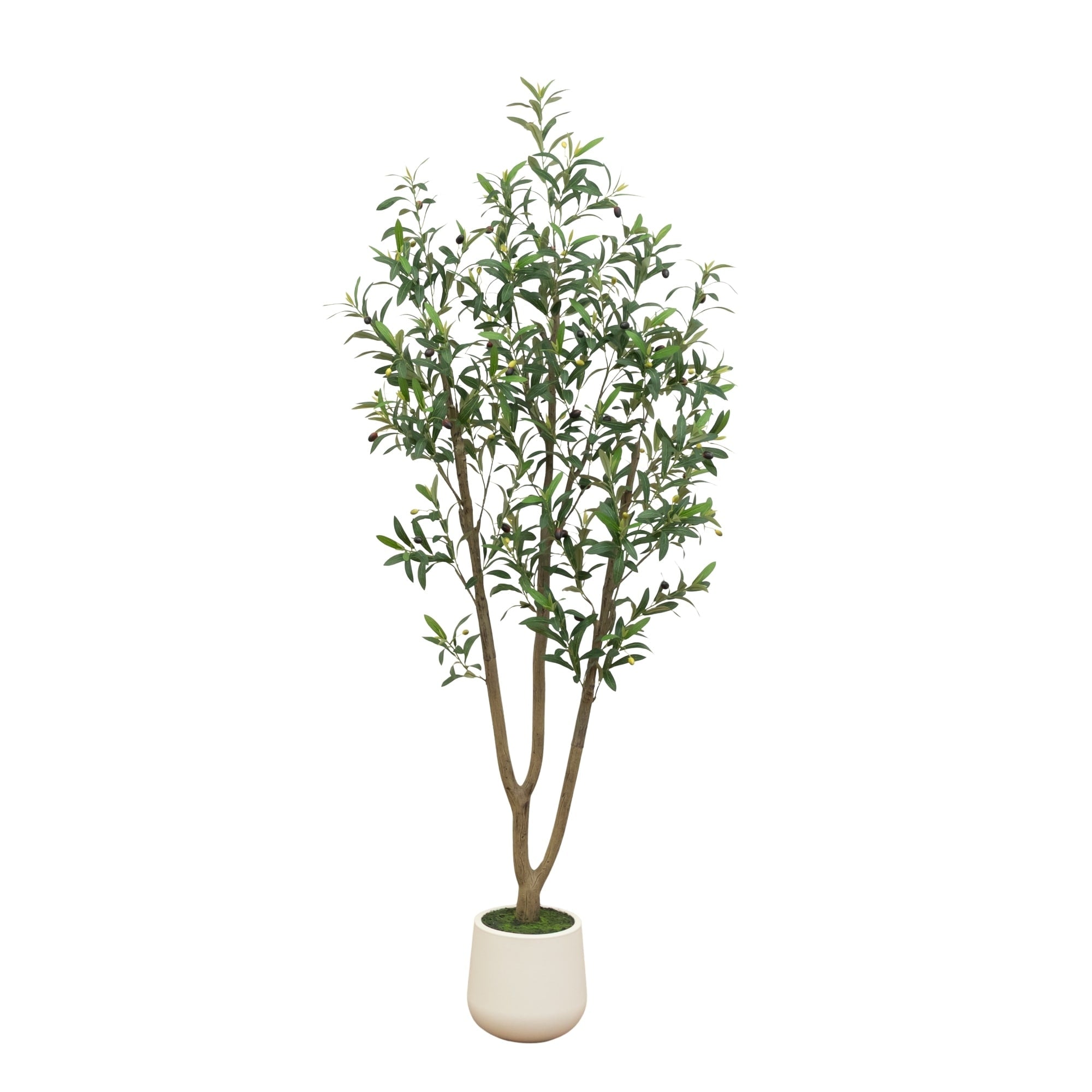 6 Ft Artificial Olive Tree In White Decorative Planter