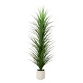 6 Ft Uv Resistant Grass Plant In White Planter Indoor Outdoor