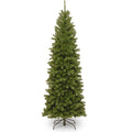 6 Ft. North Valley Spruce Pencil Slim Tree
