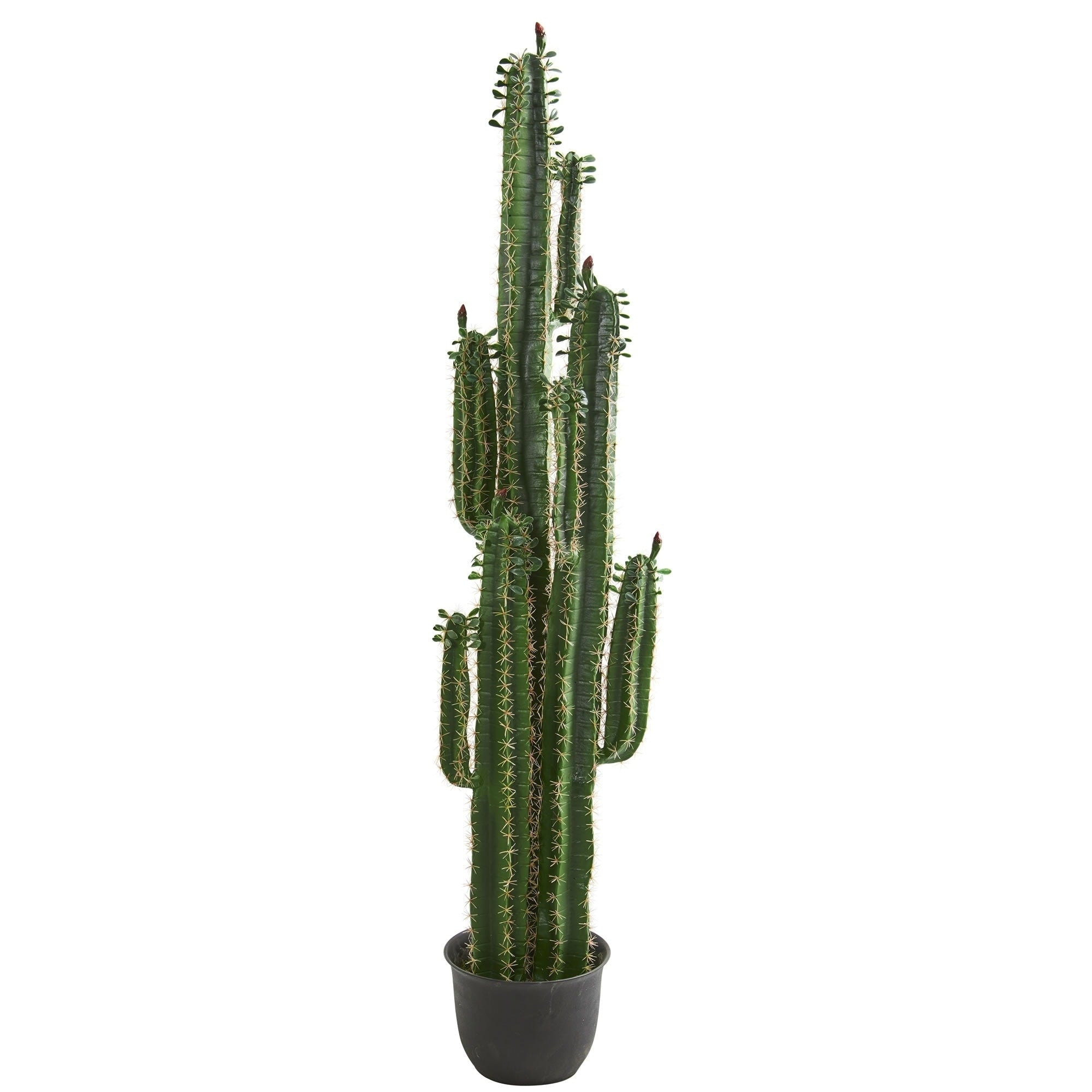 Nearly Natural Cactus 6.5 Foot Artificial Plant