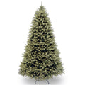 6.5 Ft. Downswept Douglas Fir Tree