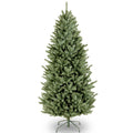 6.5 Ft. Natural Fraser Slim Fir Tree