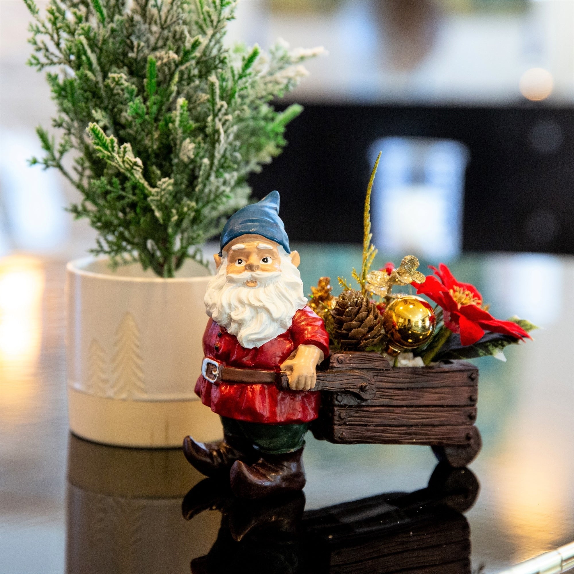 6.5 Gnome Pull W Xmas Mix