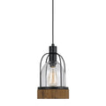 Beacon Bronze Finish Steel Wood Glass Pendant Light