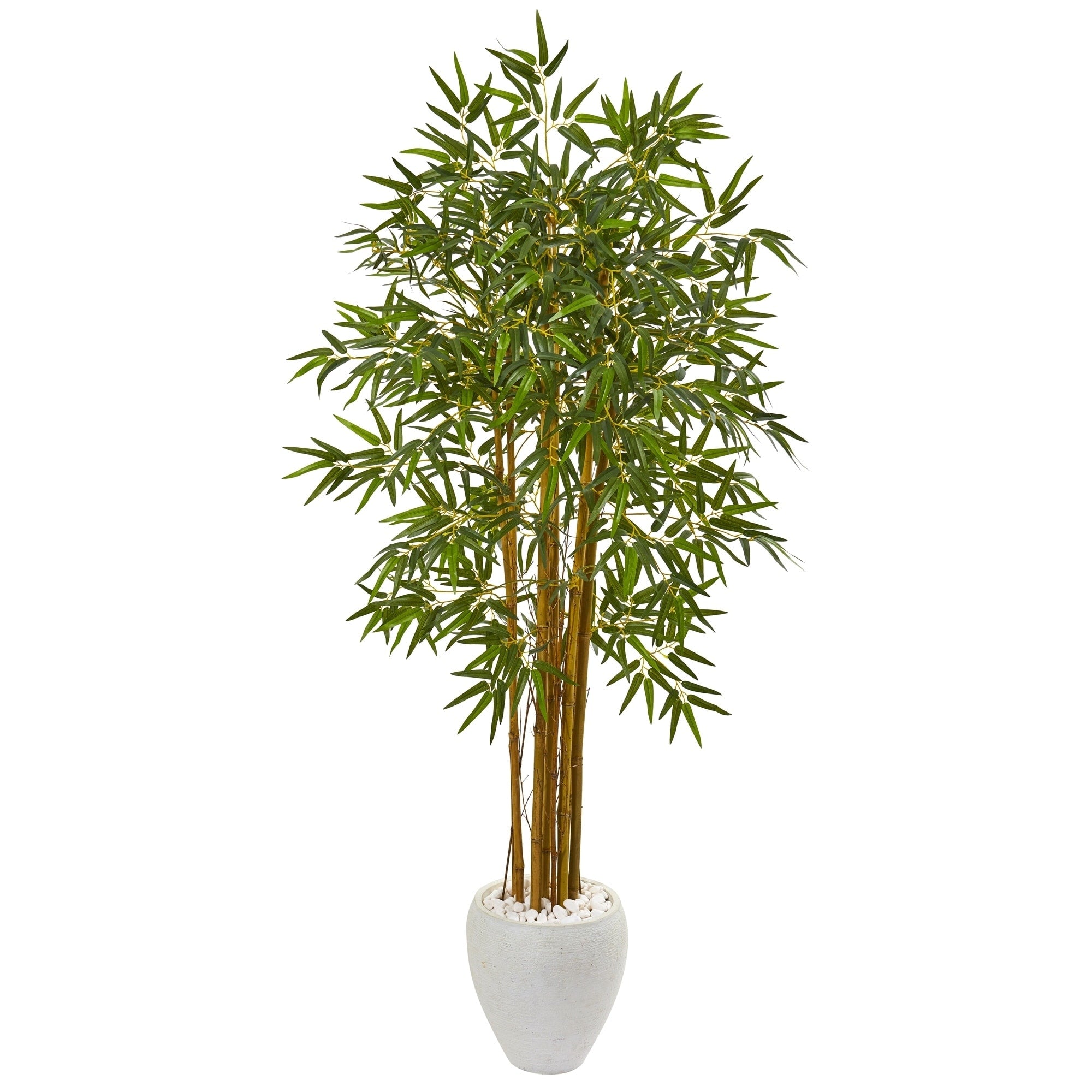 65 Multi Bambusa Bamboo Artificial Tree In White Planter