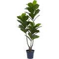 65 Inch Fiddle Leaf Tree Uv Resistant Indoor Outdoor