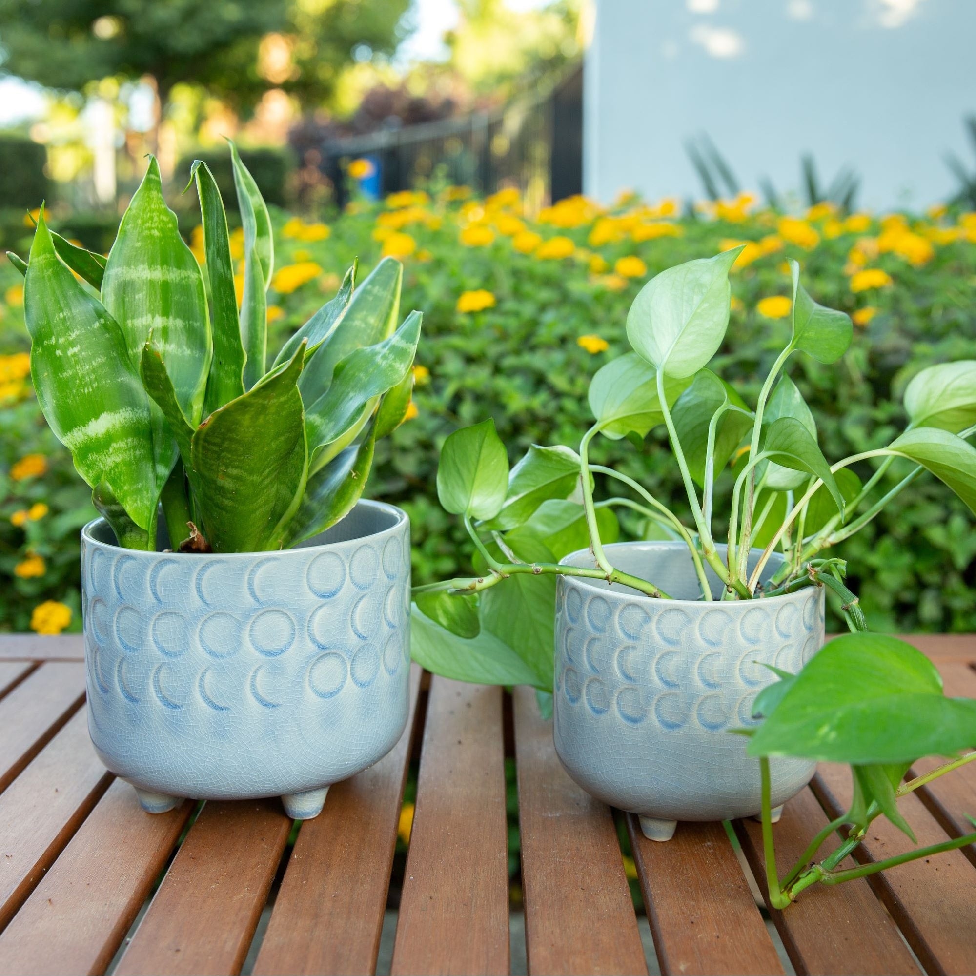 6In 4.75In Small Moon Phase Footed Planter Set Of 2 Glass Blue
