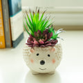 6 Hedgehog Ceramic Planter