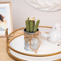6 Green And Silver Colored Artificial Mini Faux Columnar Cactus In Planter With Twine Bow