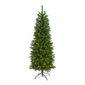 6 Slim Green Mountain Pine Christmas Tree With 250 Clear Led Lights