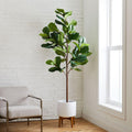 2.1 m Faux Fiddle Leaf Fig Tree & Wide Mid-Century Turned Wood Leg Planter Set