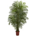 7.5 Foot Indoor Outdoor Areca Palm