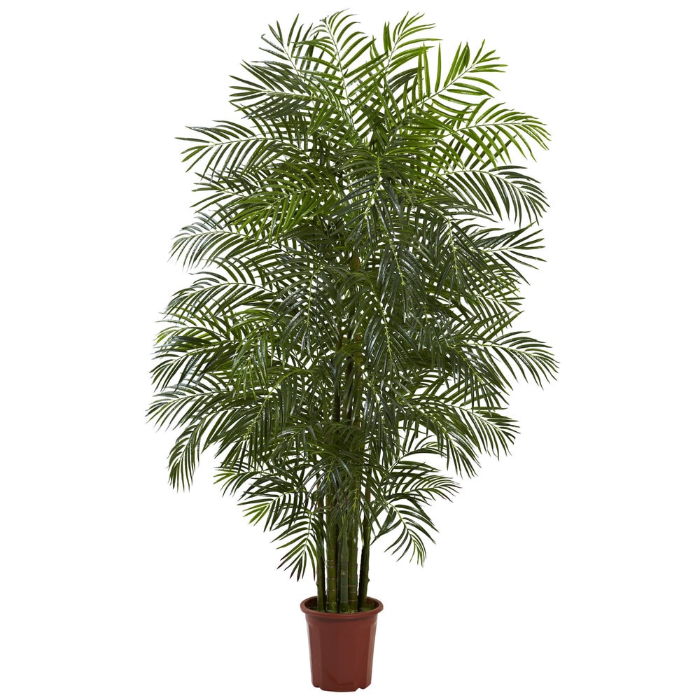 7.5 Foot Indoor Outdoor Areca Palm