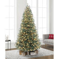 7.5Ft Pre Lit Hampton Spruce 1809 Branch Tips 500 Warm White Led Lights