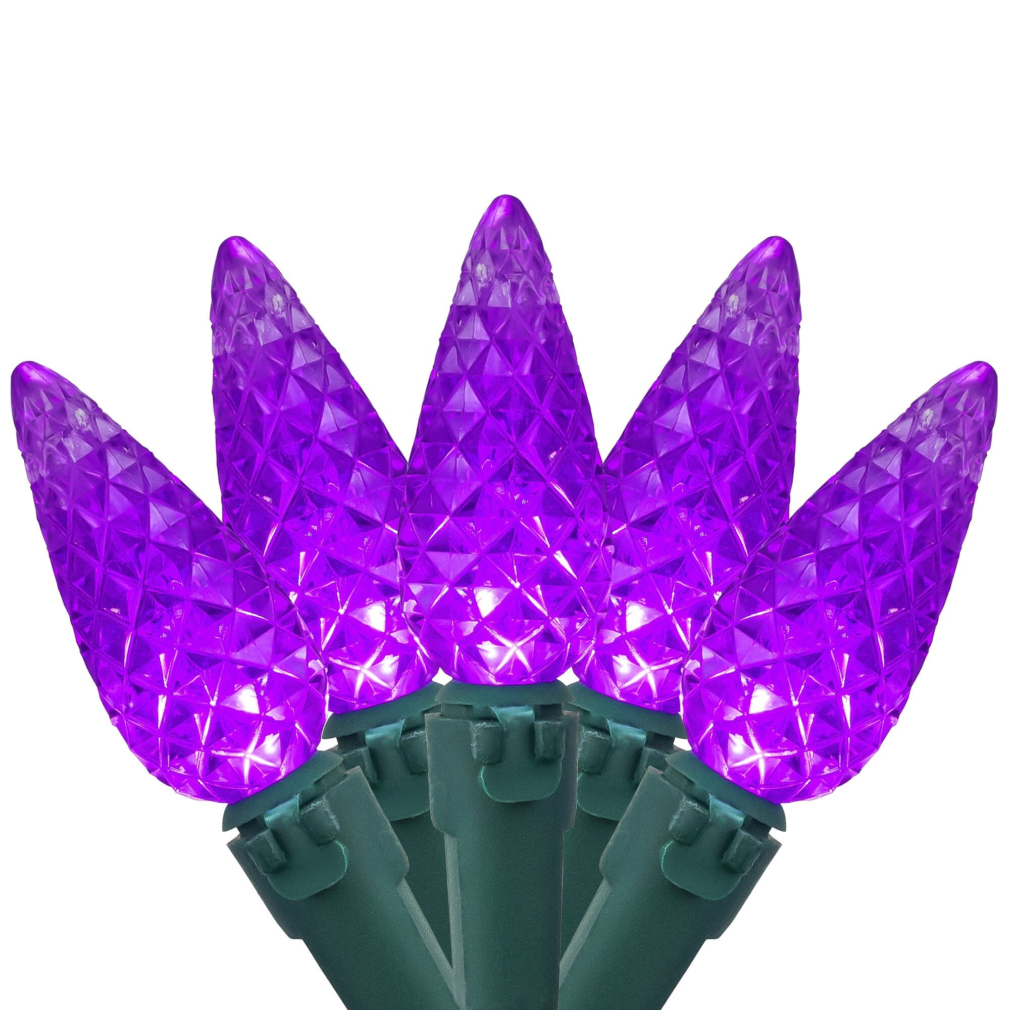 Set Of 70 Purple Led C6 Christmas Lights Green Wire