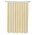 71 X 74 Inch Rain Striped Shower Curtain