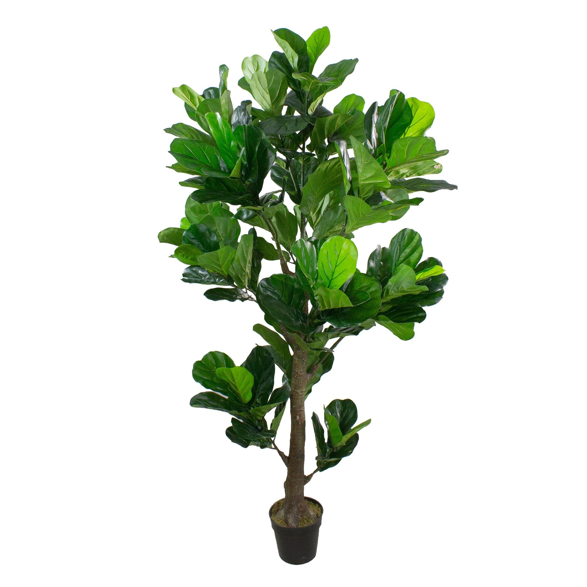 74 Dark Green Artificial Fiddle Leaf Fig Potted Tree N A