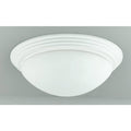 75 Watt 2 Light Ceiling Lamp