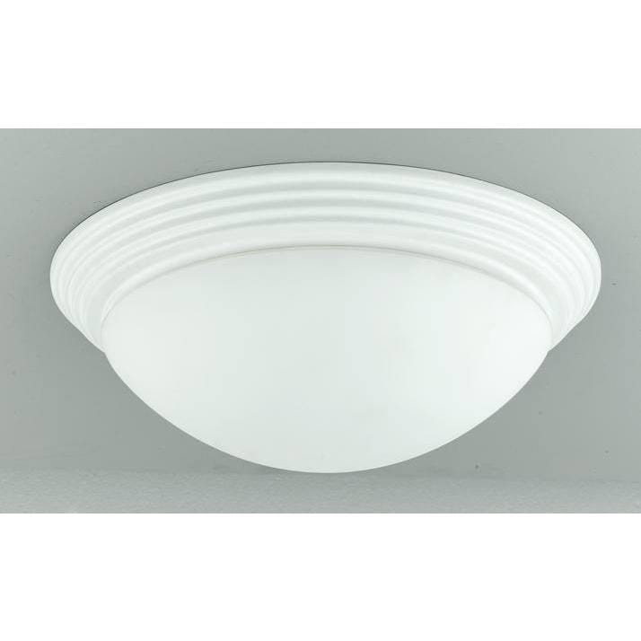 75 Watt 2 Light Ceiling Lamp
