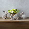 7 Resin Garden Bunny Set Of 3