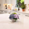 7 Tx12 D Pe Hydrangea Mound In Cement Pot