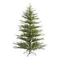 7 Vancouver Mountain Pine Christmas Tree With 374 Branches Green