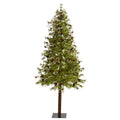 7 Wyoming Alpine Christmas Tree With 200 Clear Led Green