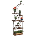 8 Tier Plant Stand Indoor 62 Tall Plant Shelf S Shaped Plant Rack Carbonised Finish