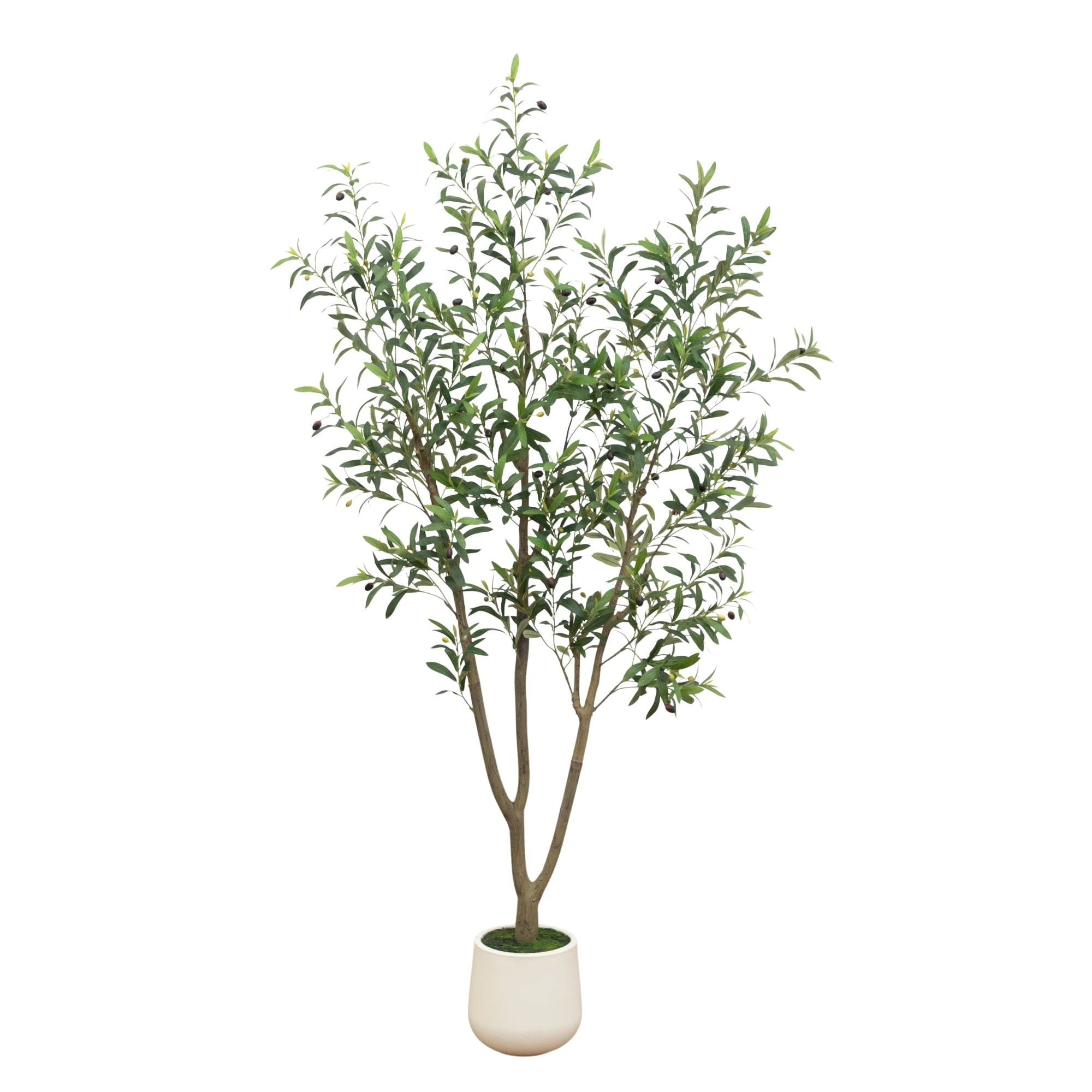 80 In Artificial Olive Tree In White Decorative Planter