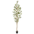 Ivy Terrace 82 Inch Olive Tree