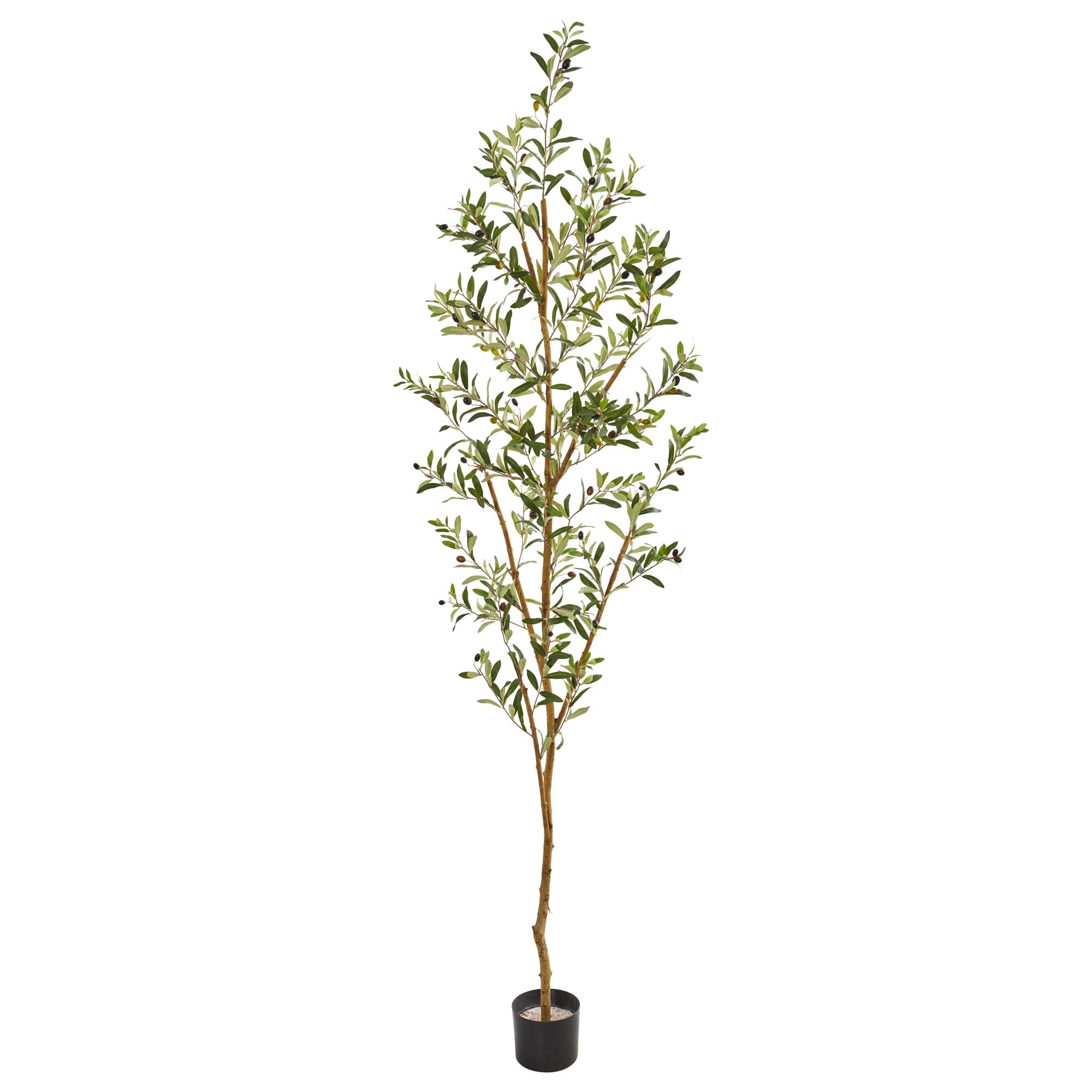 Ivy Terrace 82 Inch Olive Tree