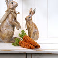8 Velvet Carrot Set Of 2