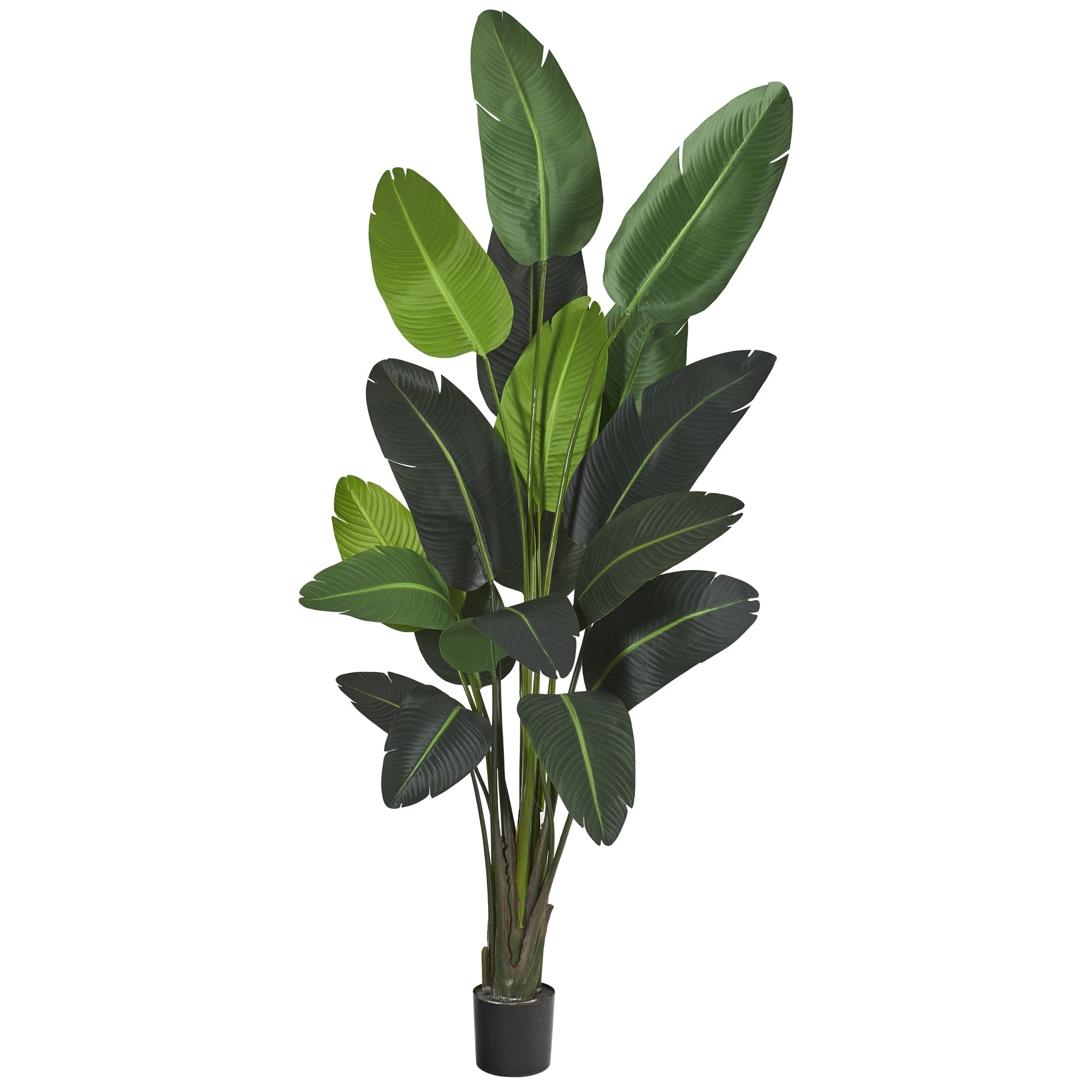 8 Travelers Palm Artificial Tree