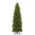 9 Ft. North Valley Spruce Pencil Slim Tree
