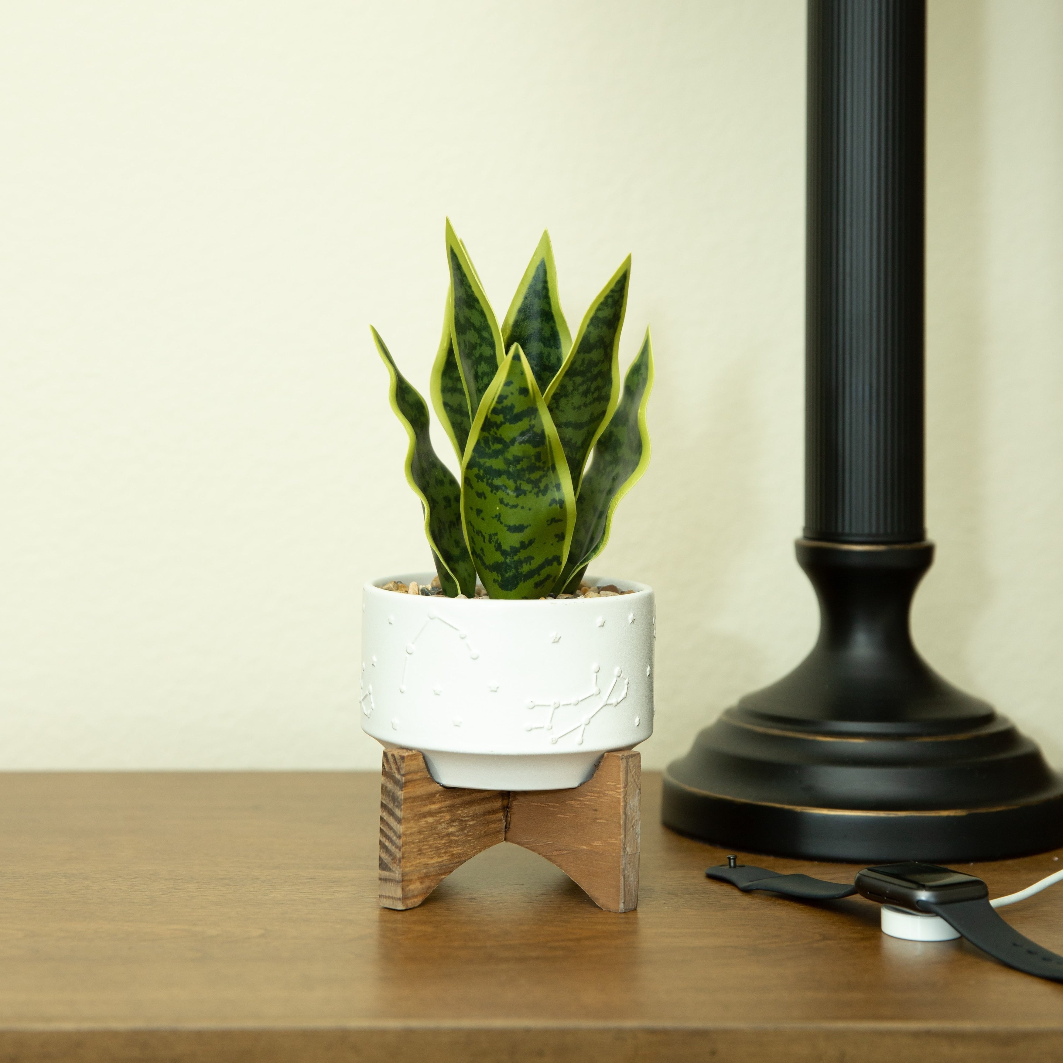 9.7 Snake Plant In 4.25 Constalition Ceramic Pot On Wood Stand One Size