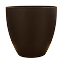 9 Egg Planter Coffee