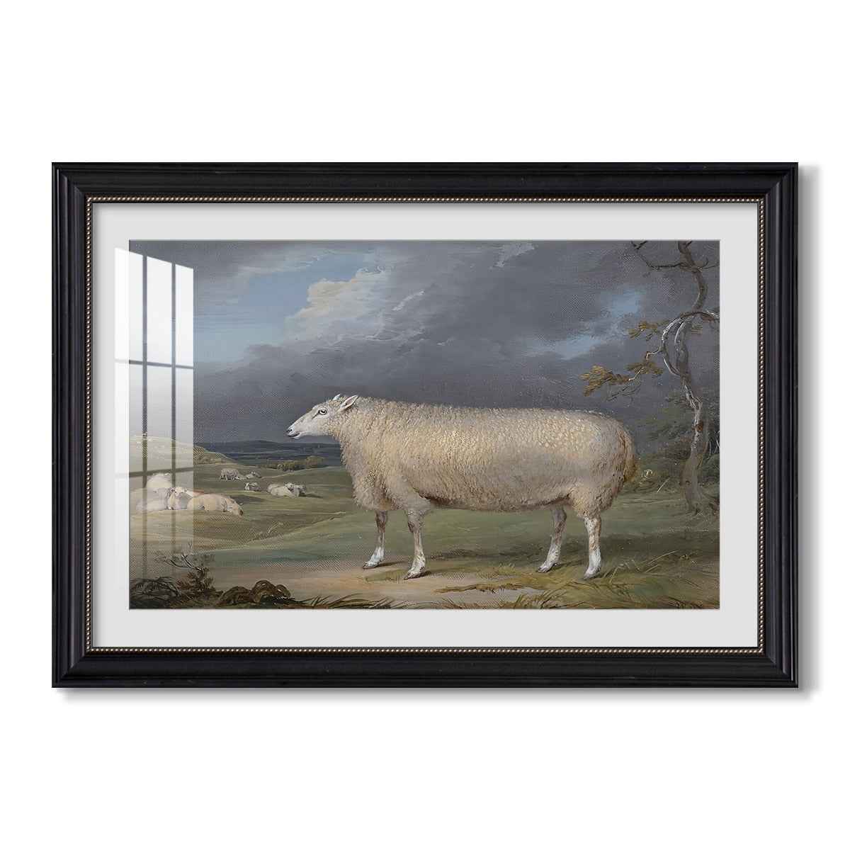 A Border Leicester Ewe C 1795 1800 James Ward Custom Framed Print