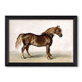 A Cart Horse Mid 19Th Century James Ward Custom Framed Canvas
