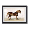 A Cart Horse Mid 19Th Century James Ward Custom Framed Print