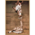 A Mothers Love Framed Canvas Wall Art Print