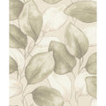 A Street Prints Evanthe Sage Vine Wallpaper