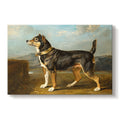 A Terrier In A Landscape C. 1811 James Ward Gallery Wrapped Canvas