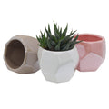 Mini Pot Planters 3 Inch Ceramic Geometric Design Succulent Pots Set Of 3