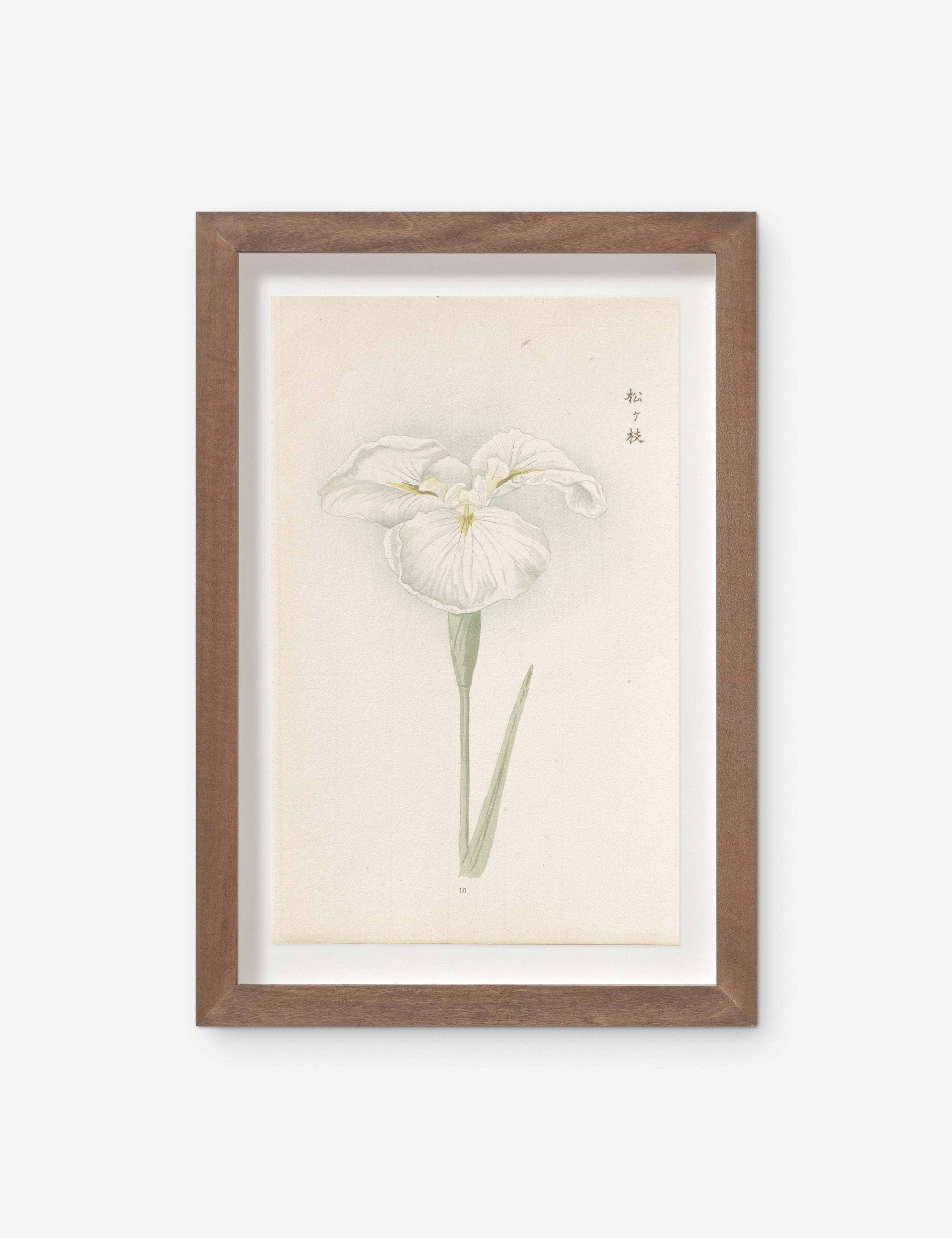 Vintage Japanese Iris No. 10 Wall Art by Miyoshi Manabu
