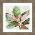 Abstract Pink Ficus By Tradelink Inhouse Artist Wood Framed Wall Art Print Driftwood Tan