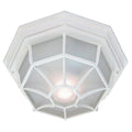 Acclaim 2 Light Outdoor Textured White Ceiling Light