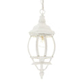 Acclaim Lighting Chateau Collection Hanging Lantern 1 Light Outdoor Textured White Light Fixture