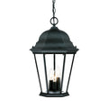 Acclaim Lighting Richmond Collection Hanging Lantern 3 Light Outdoor Matte Black Light Fixture