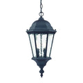 Acclaim Lighting Telfair Collection Hanging Lantern 2 Light Outdoor Matte Black Light Fixture